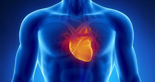  82% dos atendimentos cardiológicos são de emergência