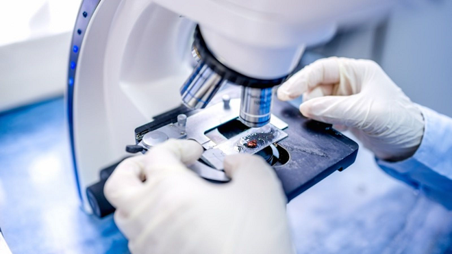  Hospital Vila Nova Star adota um novo tipo de biópsia de próstata
