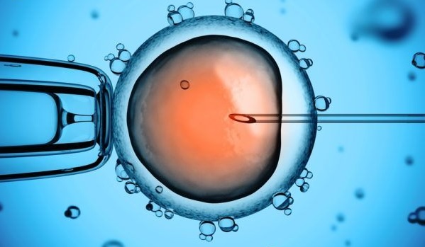  92% das clínicas de reprodução cumprem normas de qualidade