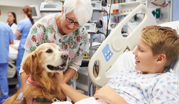  Câmara aprova Terapia Assistida por Animais em hospitais públicos