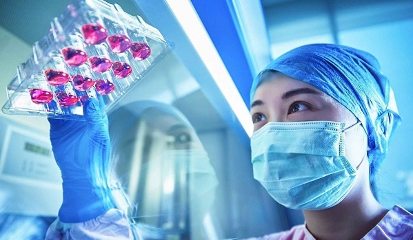  Brasil tem primeiro laboratório em Bioengenharia de Tecidos