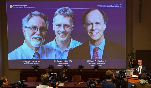  Nobel de Medicina anuncia vencedores de 2019