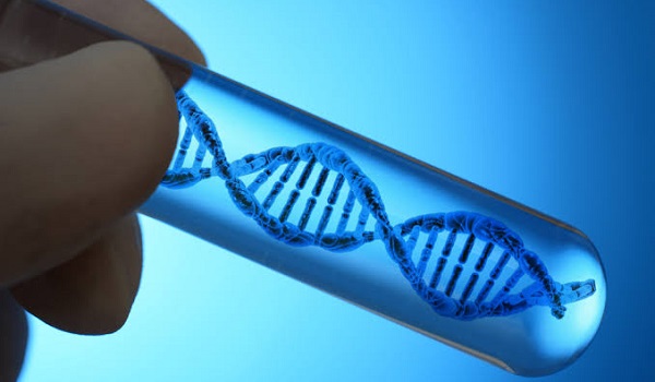  Novo teste avalia perfil genético do tumor e individualiza tratamento