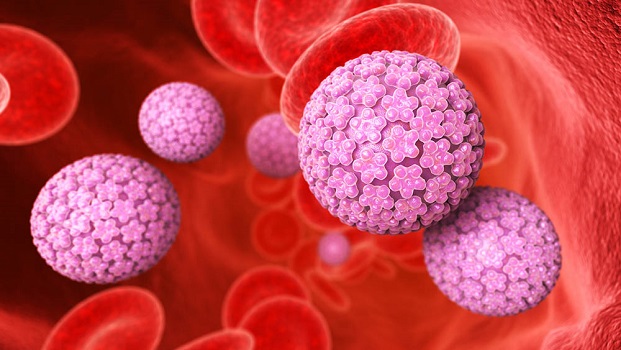  Moinhos de Vento capacita profissionais para pesquisa sobre HPV