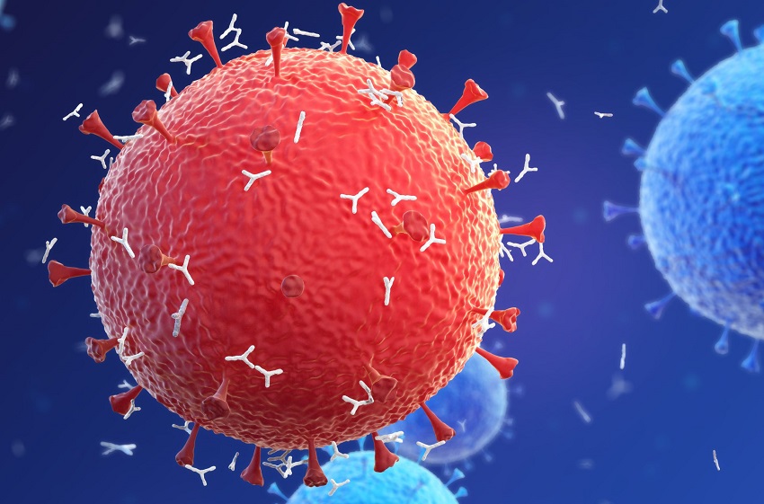  Unifesp mapeia genoma do coronavírus com resolução 25 vezes maior