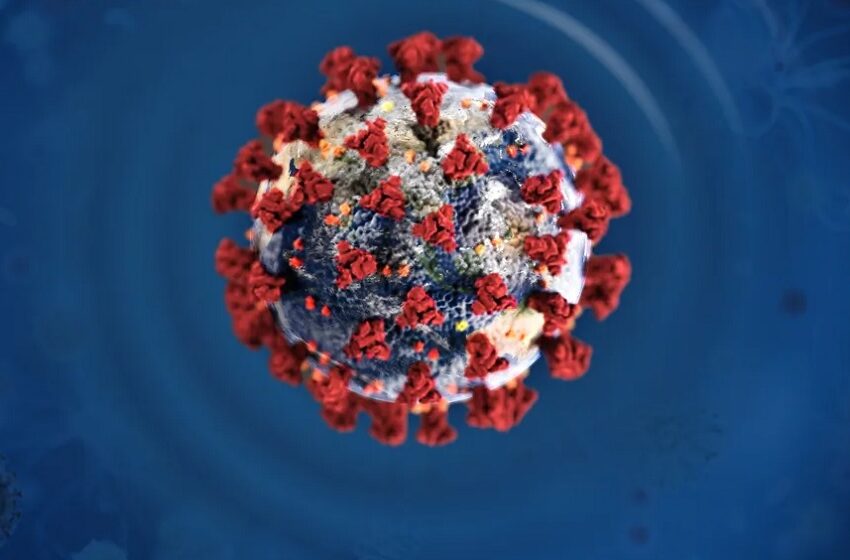  Beckman anuncia resultado de estudo sobre anticorpos para SARS-CoV-2
