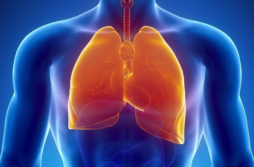  OMS: mortes por câncer de pulmão podem aumentar em 66,7% até 2040