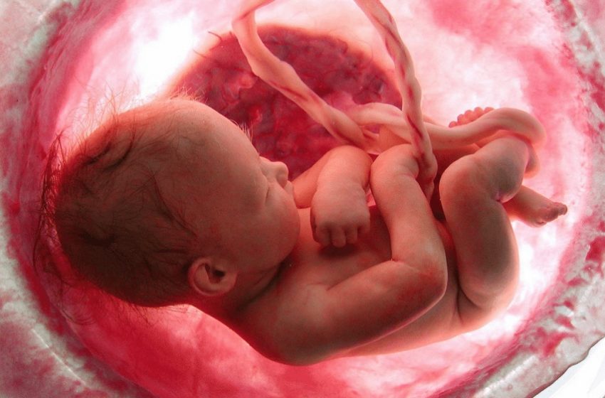  Covid-19 afeta placenta de grávidas e pode causar a morte do feto