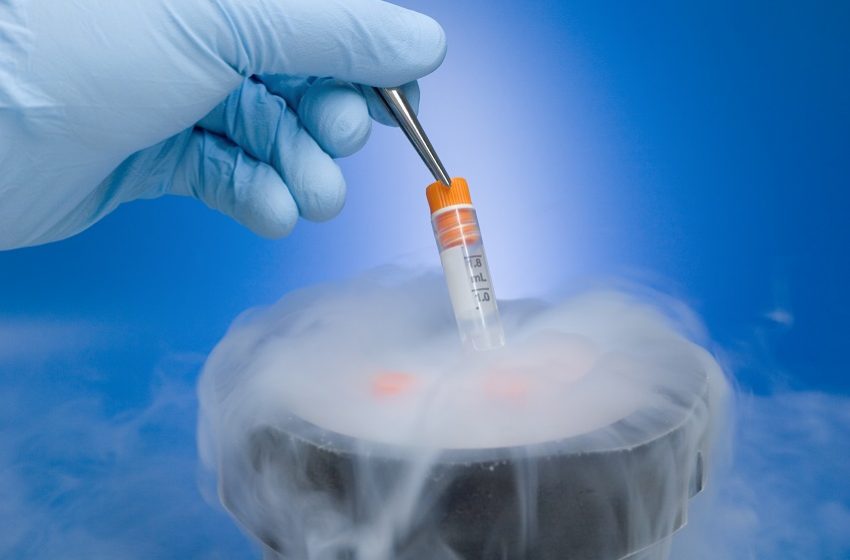  PL pretende legalizar implantação de embriões após morte de cônjuge