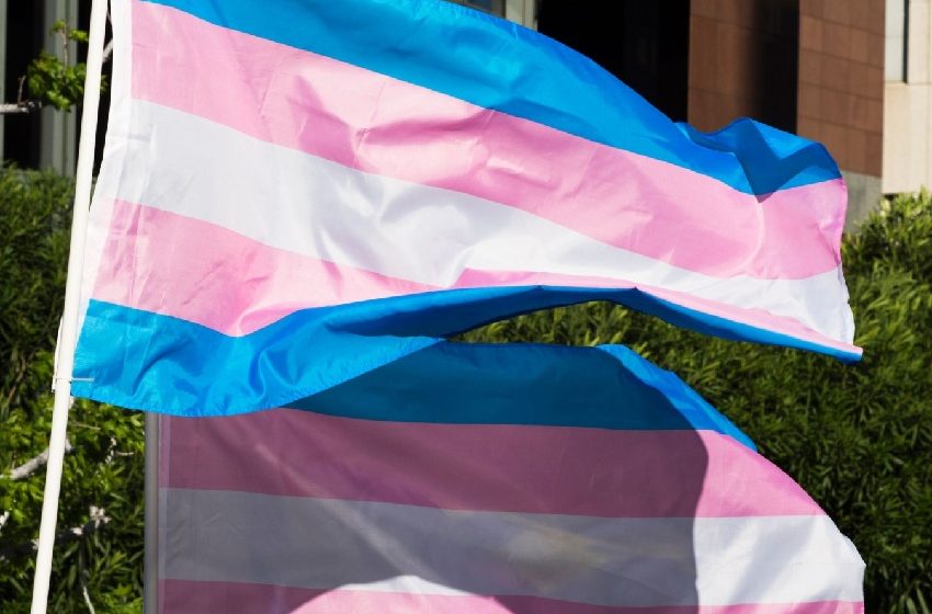  Transgêneros e não binários são 2% dos brasileiros