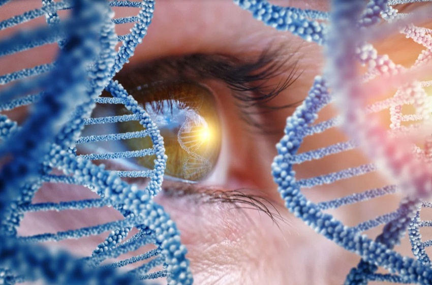  Dasa lança testes genéticos na área de oftalmologia