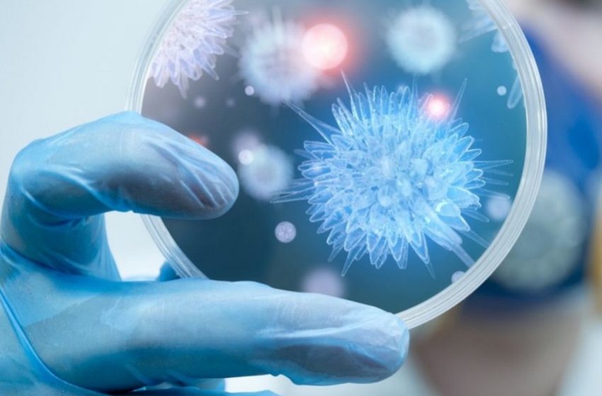  FMUSP otimiza técnica que facilita diagnóstico de superbactéria