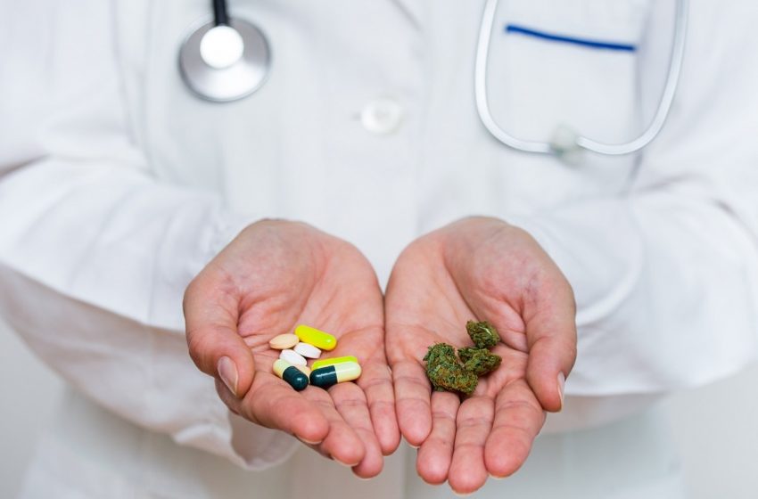  Entenda por que produtos de Cannabis não são intercambiáveis nas farmácias