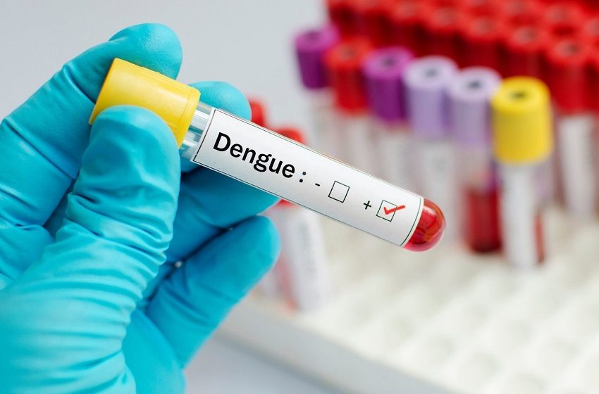  Cresce 221% o número de positivados por dengue nos laboratórios privados