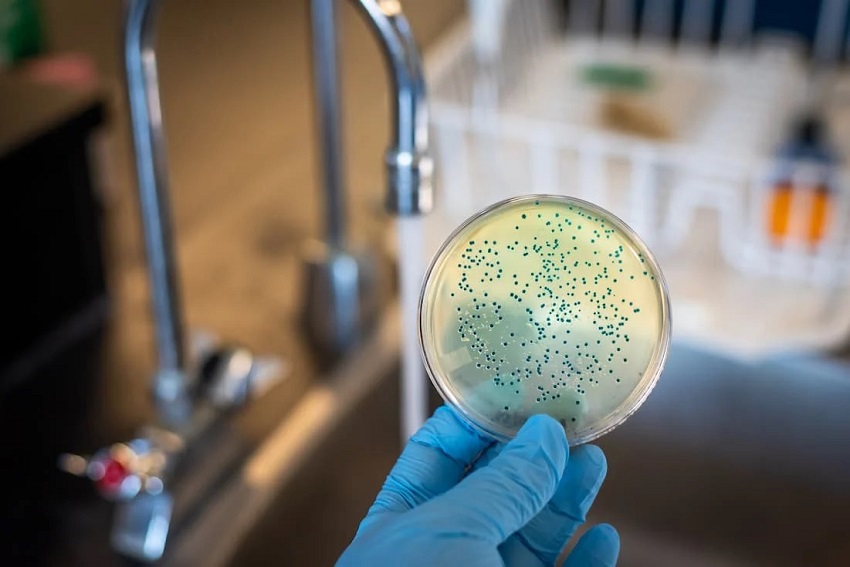 Saneamento-Torneira-Bacterias