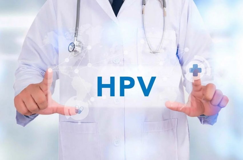  Mortalidade por cânceres ligados ao HPV é alta e pode ser evitada com prevenção primária