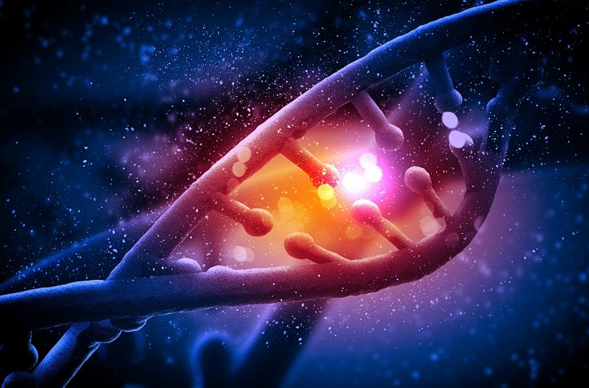  Estudo sugere que erros cromossômicos podem impedir alguns tumores agressivos