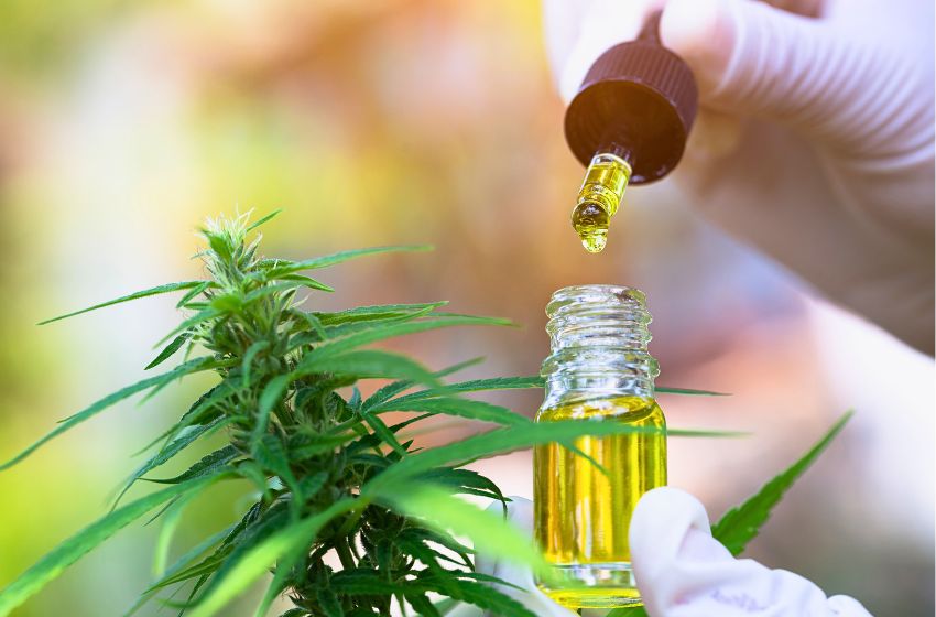  Endogen e Cellera Farma anunciam parceria para produção de produtos à base de cannabis