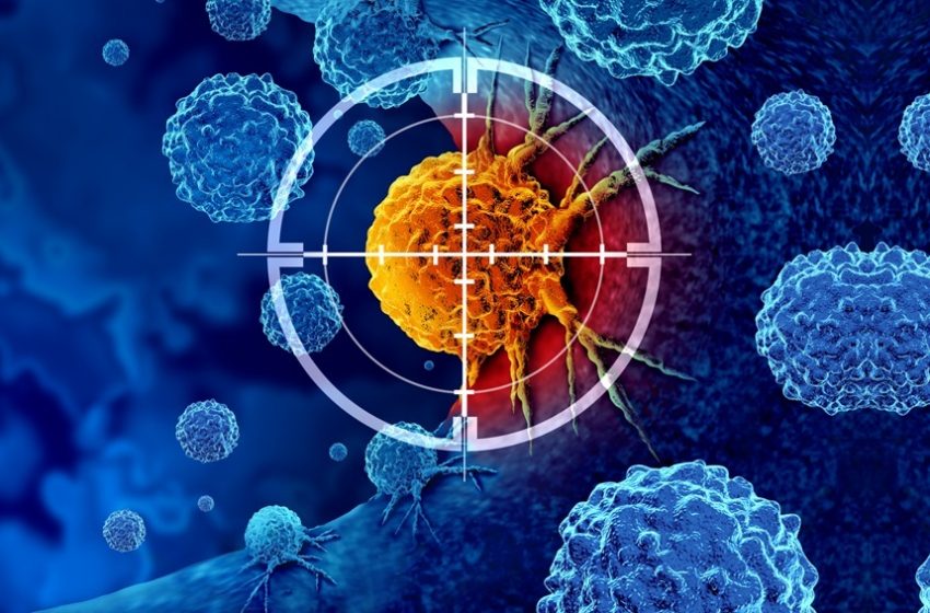  Todos Juntos Contra o Câncer analisa o futuro da atenção oncológica no Brasil