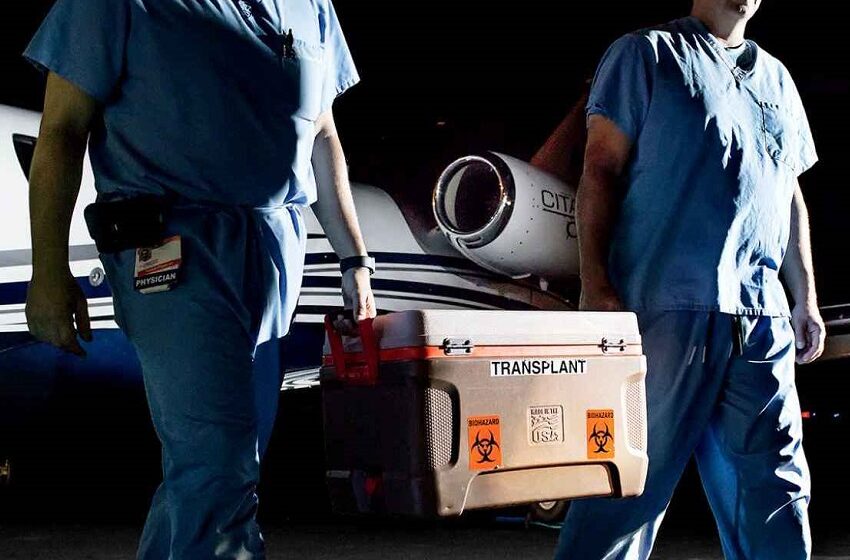  PL concede transporte aéreo gratuito de órgãos para transplante no país