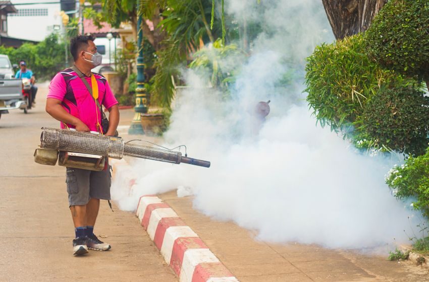  Centro de Operações de Emergência vai monitorar casos de dengue em SP