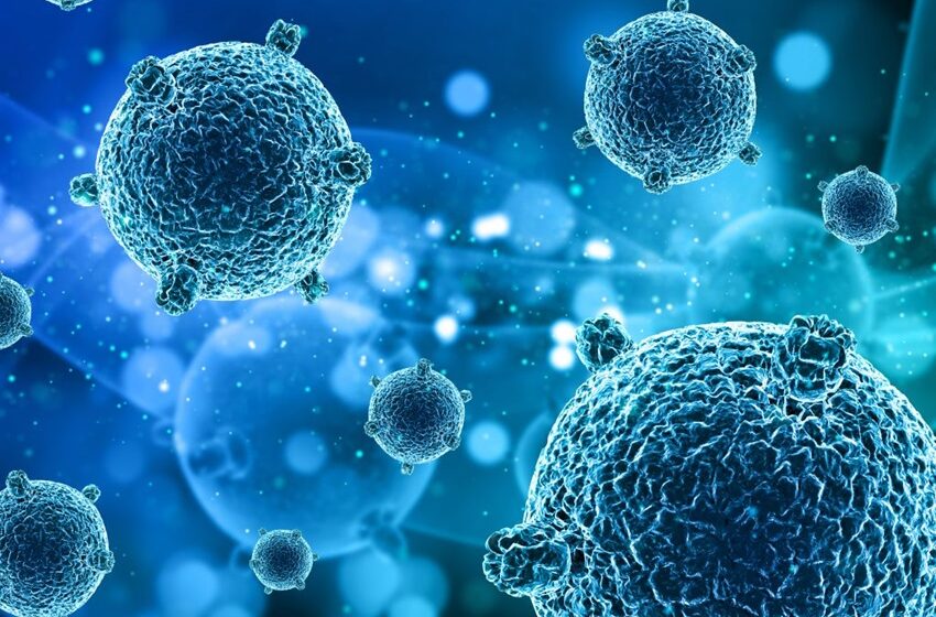  Bactérias resistentes podem causar 40 milhões de mortes até 2050