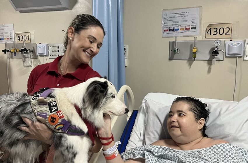  Pacientes do INCA contam com nova terapia assistida por cães