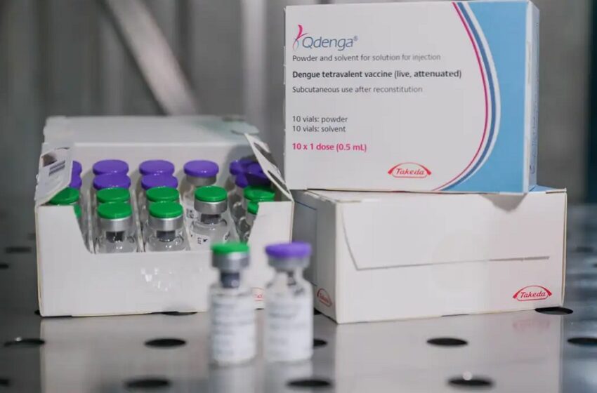  Vacina contra a dengue usada no Brasil é pré-qualificada pela OMS