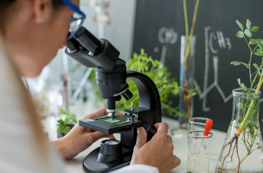  Cidade no Rio de Janeiro inaugura farmácia de plantas medicinais