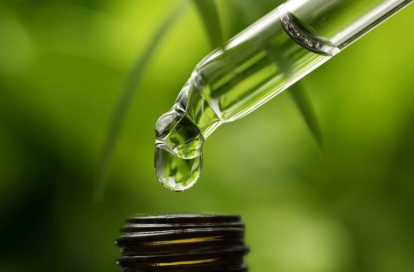  Parlamentares e governo articulam apoio à bioeconomia com plantas medicinais