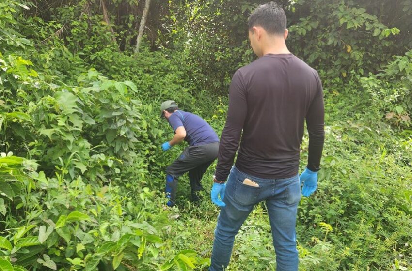  Bactérias da Amazônia podem ser usadas para desenvolver novos antibióticos e antitumorais