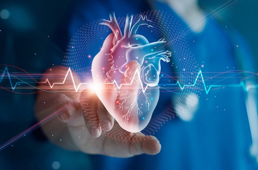  Proposta aprovada cria protocolos de urgências cardiovasculares no SUS