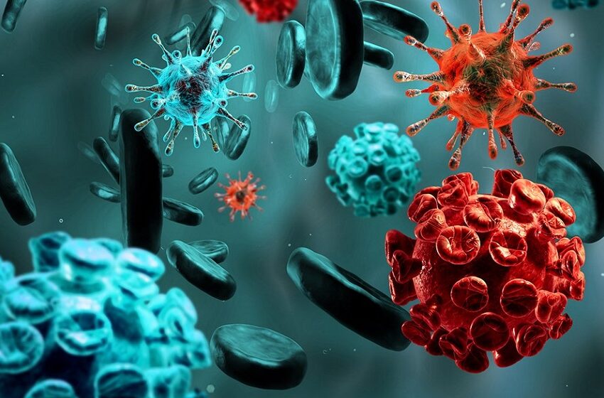  Hospital Anchieta inaugura ambulatório dedicado às imunodeficiências