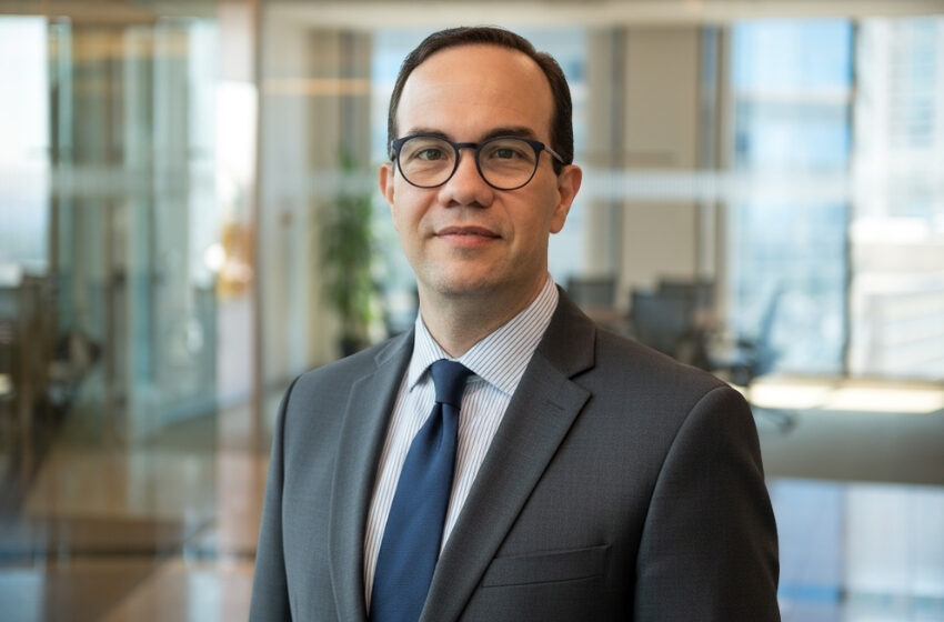  Entre algoritmos e decisões: o humano no circuito