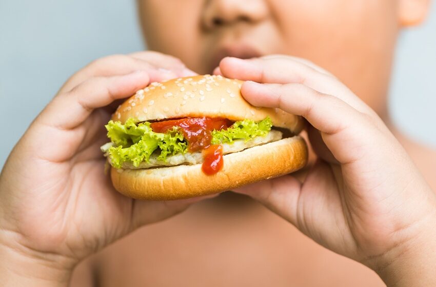  Ribeirão Preto aprova primeira lei brasileira para tratar obesidade infantil