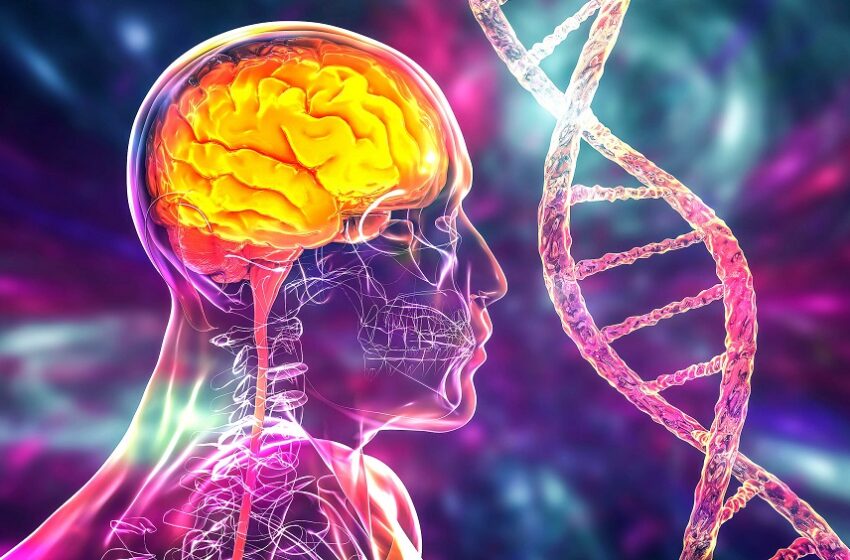  Brasil inicia estudo para mapear genética do AVC e aprimorar cuidado no SUS