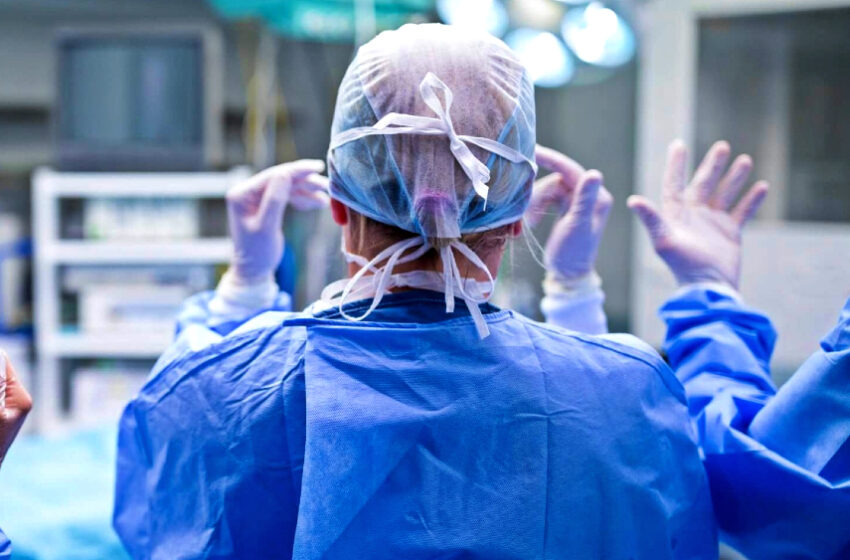  Xenotransplantes e a tentativa de diminuir a fila de órgãos do Sistema Único de Saúde