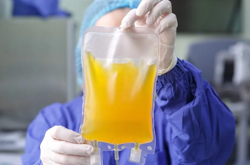  SUS vai ampliar em 30% capacidade de armazenamento de plasma
