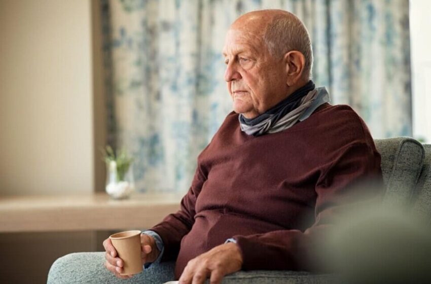  Cerca de 300 mil idosos brasileiros têm algum grau de TEA, diz estudo