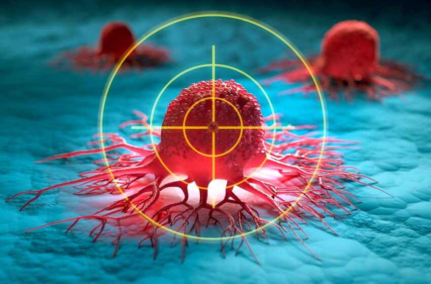  Brasil deve ter 781 mil novos casos de câncer por ano até 2028, segundo dados do Inca