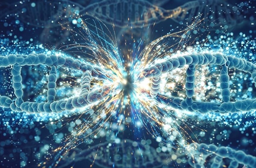  Mapeamento genético avança na prevenção do câncer de mama