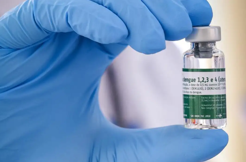  Vacina brasileira contra a dengue mantém eficácia por até 5 anos