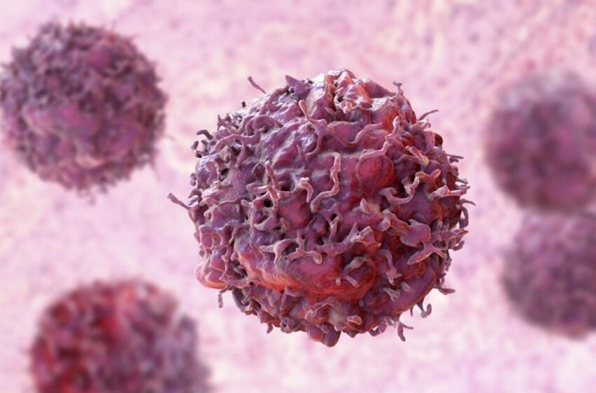  Lei inclui a imunoterapia em protocolos de tratamento do câncer