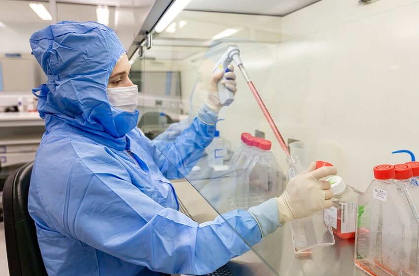  Estudo usa células-tronco contra complicações do transplante de medula