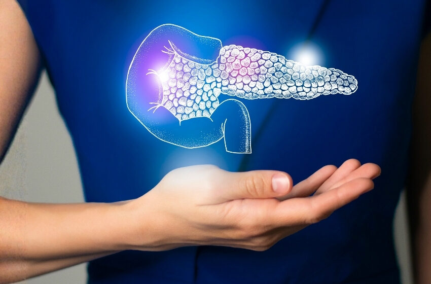  Mayo Clinic desenvolve ferramenta de IA para ajudar a encontrar câncer no pâncreas até 3 anos antes do diagnóstico