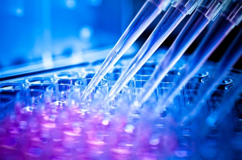  Medicina Diagnóstica: a nova lógica de operação para laboratórios clínicos