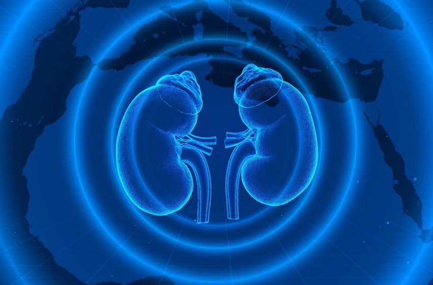  Estudo revela subdiagnóstico da doença renal crônica no Brasil